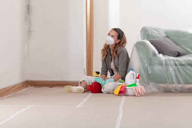 Reliable Mold Cleanup contractor in Bonney Lake, WA by Cheap Mold Removal